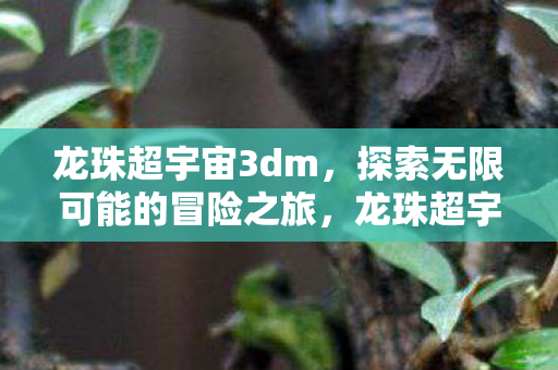 探索无限可能的冒险之旅图片