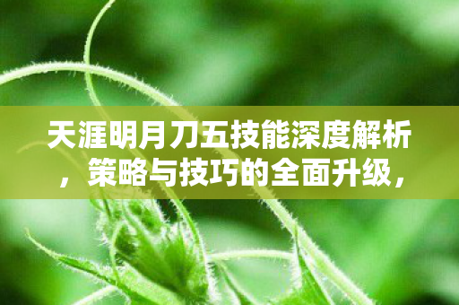 天涯明月刀五技能全面升级策略与技巧解析图片