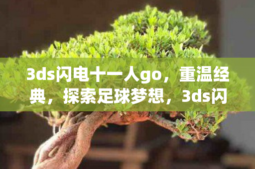 3ds闪电十一人go图片