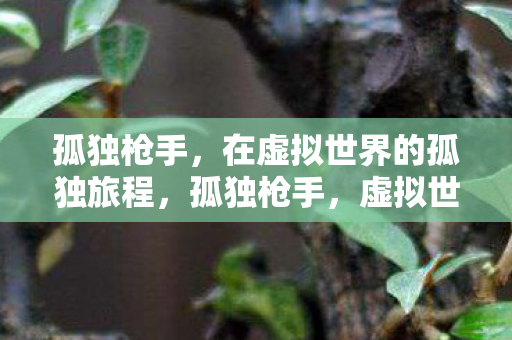 在虚拟世界的孤独旅程图片