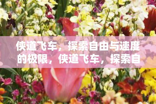 探索自由与速度的极限之旅图片