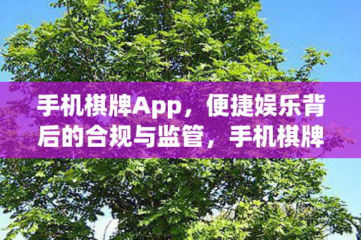 便捷娱乐背后的合规与监管挑战图片