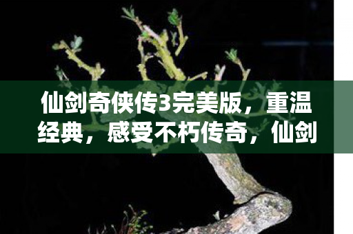 仙剑奇侠传3完美版图片