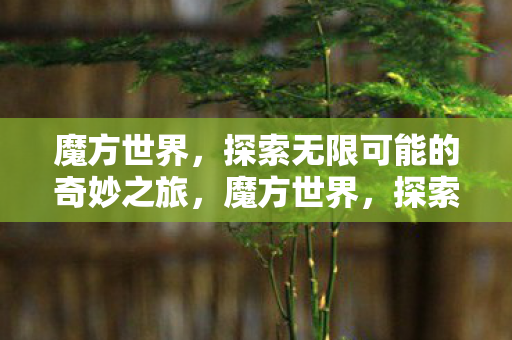 探索无限可能的奇妙之旅图片