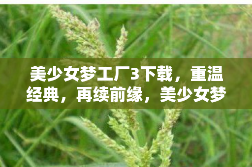 美少女梦工厂3经典再现图片