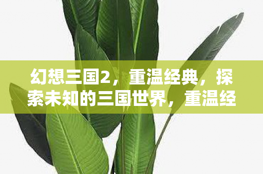 探索未知的三国世界图片