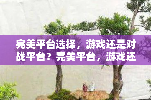 游戏还是对战平台图片