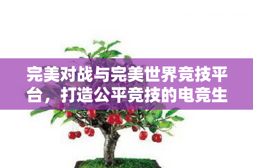 完美对战与完美世界竞技平台携手打造公平竞技的电竞生态图片