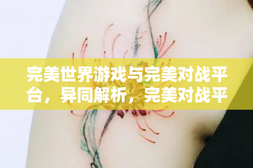 完美世界游戏与完美对战平台图片
