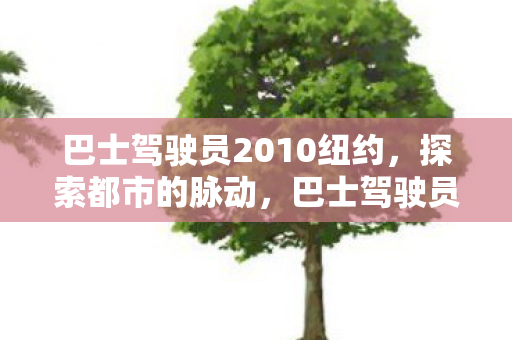 巴士驾驶员2010纽约,探索都市的脉动,巴士驾驶员2010纽约,探索都市脉动,感受城市心跳 巴士驾驶员2010纽约,探索都市的脉动,巴士驾驶员2010纽约,探索都市脉动,感受城市心跳