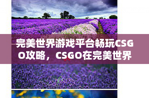 CSGO在完美世界游戏平台的畅玩攻略图片