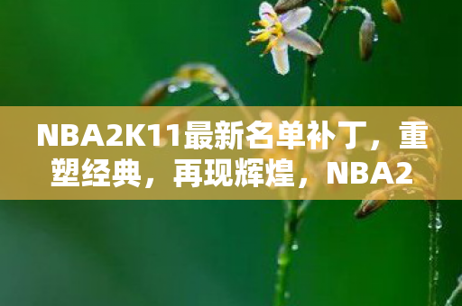 NBA2K11最新名单补丁图片