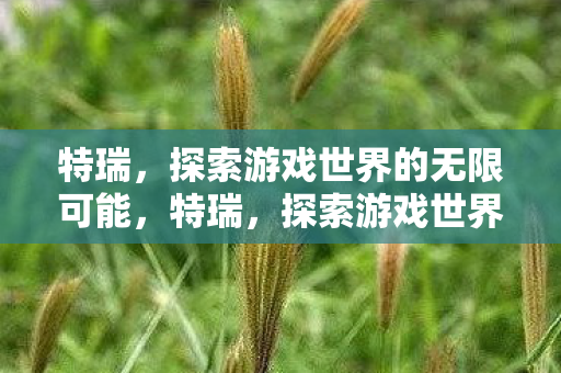 探索游戏世界的无限可能图片