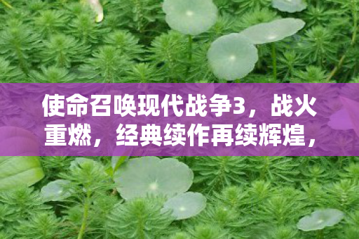 使命召唤现代战争3图片