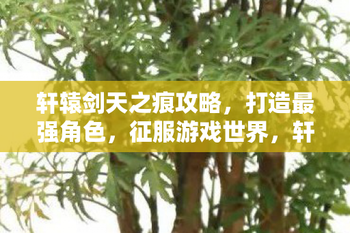轩辕剑天之痕攻略图片