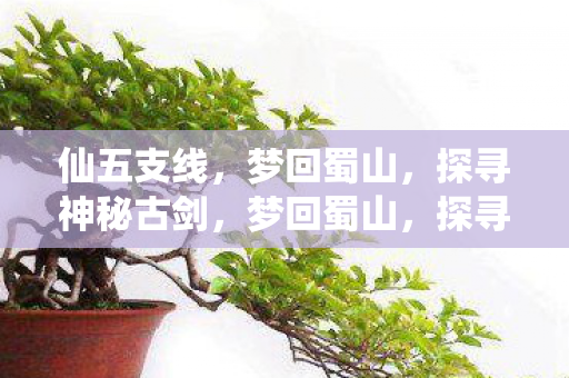 仙五支线,梦回蜀山,探寻神秘古剑,梦回蜀山,探寻仙五支线中的神秘古剑 仙五支线,梦回蜀山,探寻神秘古剑,梦回蜀山,探寻仙五支线中的神秘古剑
