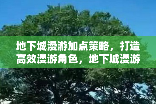 地下城漫游加点策略,打造高效漫游角色,地下城漫游加点攻略,打造高效漫游角色 地下城漫游加点策略,打造高效漫游角色,地下城漫游加点攻略,打造高效漫游角色