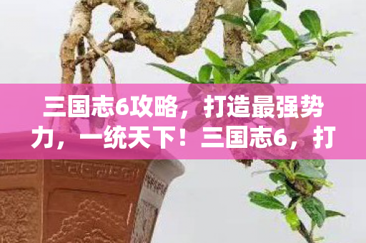 三国志6攻略,打造最强势力,一统天下!三国志6,打造最强势力,一统天下攻略 三国志6攻略,打造最强势力,一统天下!三国志6,打造最强势力,一统天下攻略