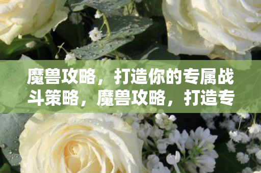 打造你的专属战斗策略图片