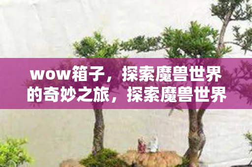 探索魔兽世界的奇妙之旅图片