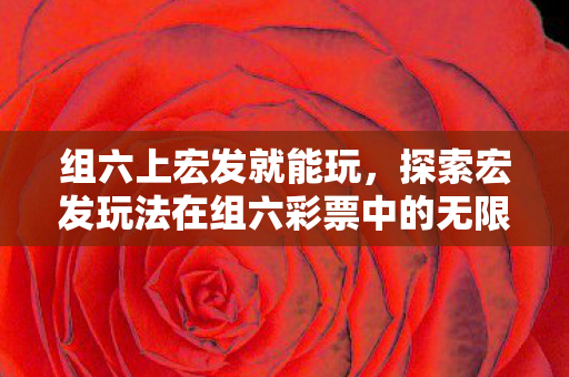 探索宏发玩法在组六彩票中的无限可能图片