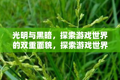 探索游戏世界的双重面貌图片