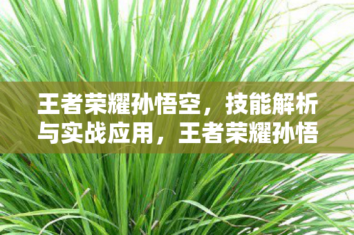 技能解析与实战应用全解析图片
