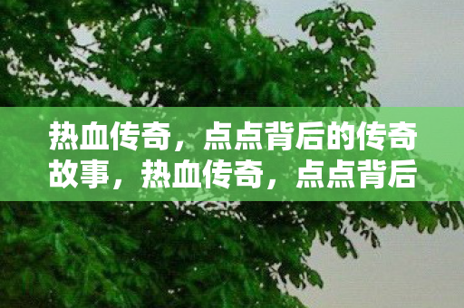 热血传奇,点点背后的传奇故事,热血传奇,点点背后的传奇故事 热血传奇,点点背后的传奇故事,热血传奇,点点背后的传奇故事