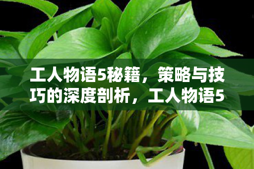 工人物语5秘籍,策略与技巧的深度剖析,工人物语5,策略与技巧的深度剖析 工人物语5秘籍,策略与技巧的深度剖析,工人物语5,策略与技巧的深度剖析