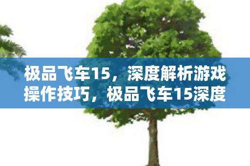 极品飞车15,深度解析游戏操作技巧,极品飞车15深度解析,掌握游戏操作技巧 极品飞车15,深度解析游戏操作技巧,极品飞车15深度解析,掌握游戏操作技巧