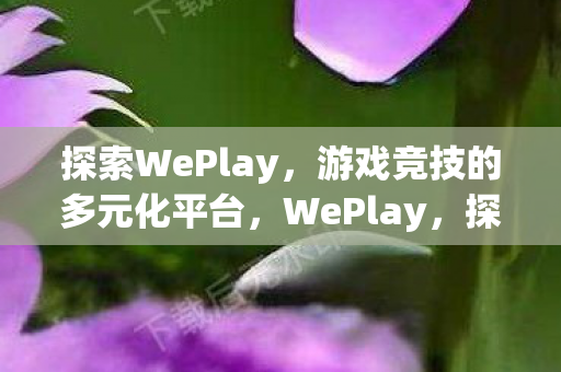 探索游戏竞技的多元化平台图片