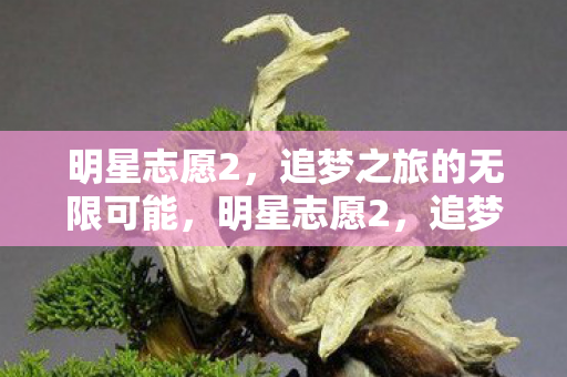 追梦之旅的无限可能图片