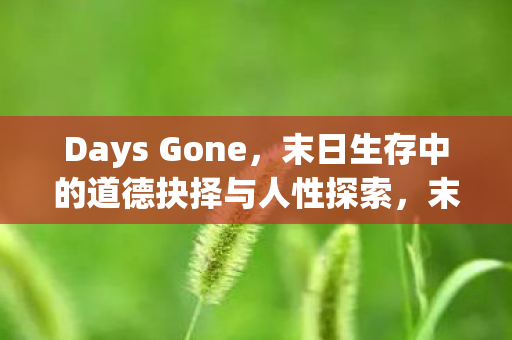 末日生存中的道德抉择与人性探索图片