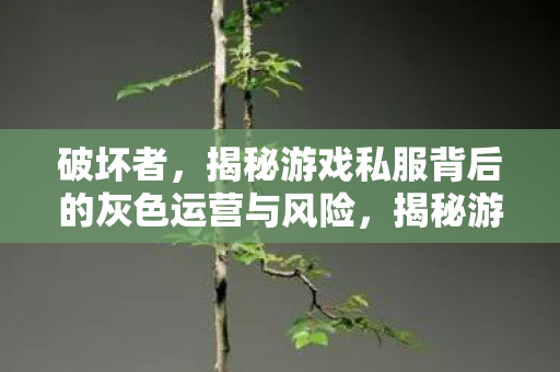 揭秘游戏私服背后的灰色运营与风险图片