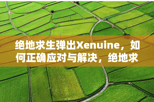 绝地求生Xenuine弹窗解决方法图片