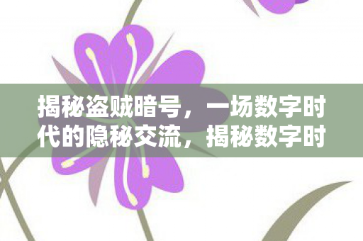 一场数字时代的隐秘交流图片