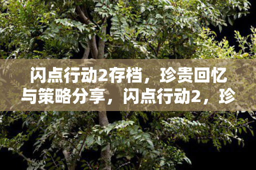 珍贵回忆与策略分享图片