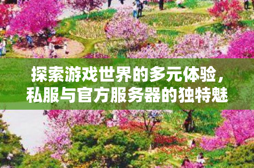 私服与官方服务器的独特魅力图片