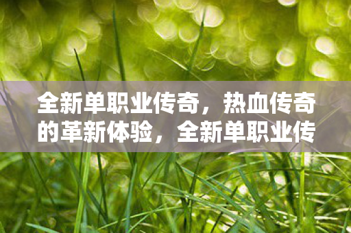 全新单职业传奇，热血传奇的革新体验，全新单职业传奇，热血传奇的革新体验