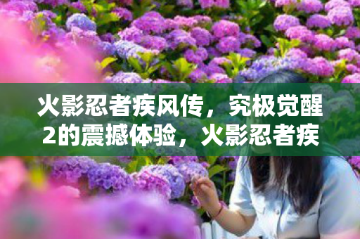 带你领略忍者世界的魅力图片