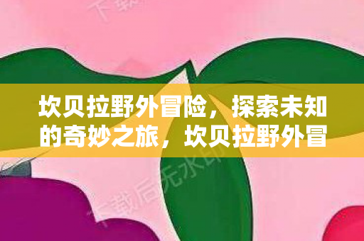 探索未知的奇妙之旅图片