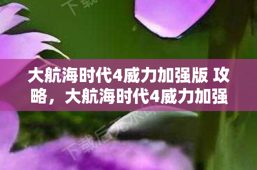 大航海时代4威力加强版全面攻略图片