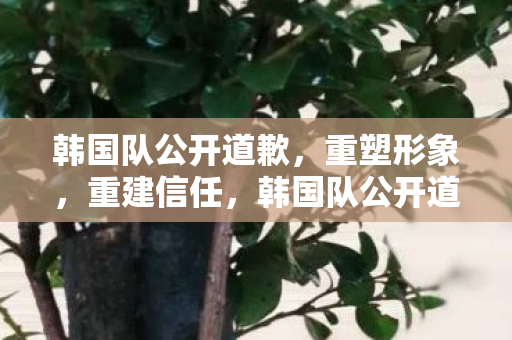 韩国队公开道歉图片