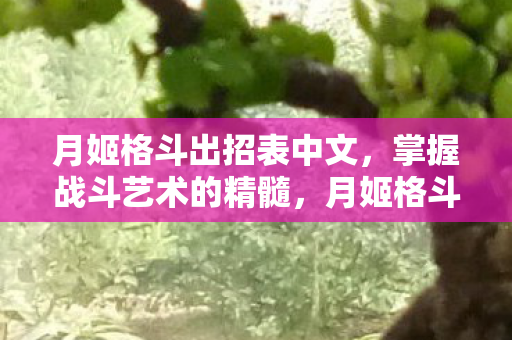月姬格斗出招表中文图片