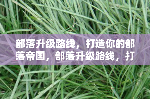 打造你的部落帝国图片