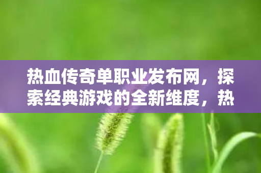 热血传奇单职业发布网,探索经典游戏的全新维度,热血传奇单职业发布网,探索经典游戏的全新维度 热血传奇单职业发布网,探索经典游戏的全新维度,热血传奇单职业发布网,探索经典游戏的全新维度