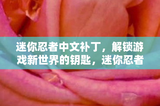解锁游戏新世界的钥匙图片