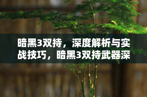 暗黑3双持武器深度解析与实战技巧图片