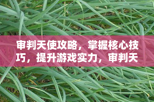 审判天使核心技巧全解析图片