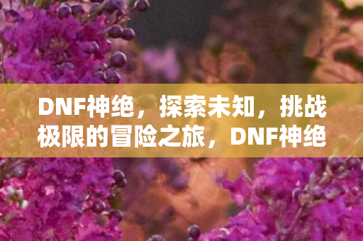 挑战极限的冒险之旅图片